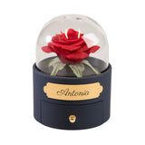 Ewige Rose in Glaskuppel mit Herzkette