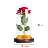 Liebes Set Ewige Rose